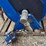 2"-hydraulic-hose-w/valve-on-cox-reel-image-4
