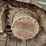 komatsu-pc220-lc-8-image-28