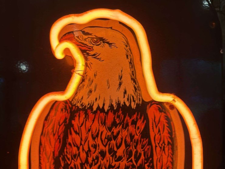 case-eagle-neon---description-update-image-4