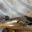 #4872-•-ithica-skb-600-12-ga.-trap-shotgun,-sn:-s5622058-image-9