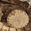 komatsu-pc290-lc-10-image-32