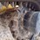 deere-325g-image-21