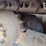 2006-deere-650j-lgp-image-31