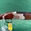 mossberg-international-28ga-o/u-shotgun-image-3