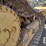 2015-caterpillar-d6n-xl-image-34
