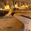 2014-caterpillar-299d-image-11