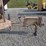 2017-finn-bb302-image-7