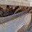 2013-takeuchi-tl12-image-35