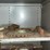 #150-•-parts-shelf-and-contents-image-4
