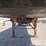 2000-great-dane-trailer-image-11