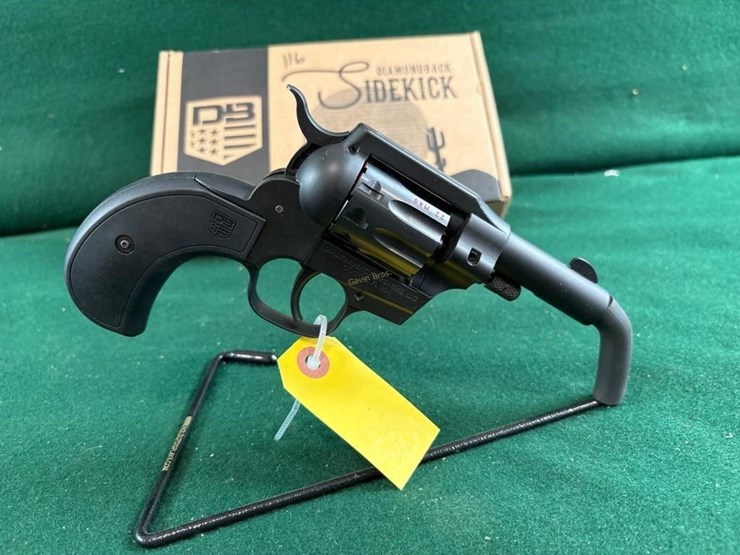 diamondback-sidekick-birdshead-22lr/wmr-image-2