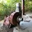 #134-•-cornell-dust-blower-image-2