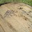 #29430-•-lot-of-(3)-whiskey-barrels-image-3