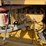 2016-caterpillar-313fl-image-21