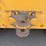 2007-deere-700j-xlt-image-20