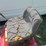#29434-•-craftsman-917-riding-mower-09a006735-image-9