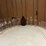 (16)-dairy-bottles-image-1