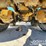 caterpillar-16g-image-8
