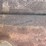 ford-9n-image-16