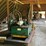 #104-•-tyrone-berry-carriage-drive-and-feed-image-2