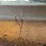 #130-•-webster-vibrating-conveyor-image-10