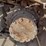 john-deere-210-image-32