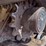 2015-deere-333e-image-21