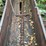 #132-•-chain-conveyor-image-4