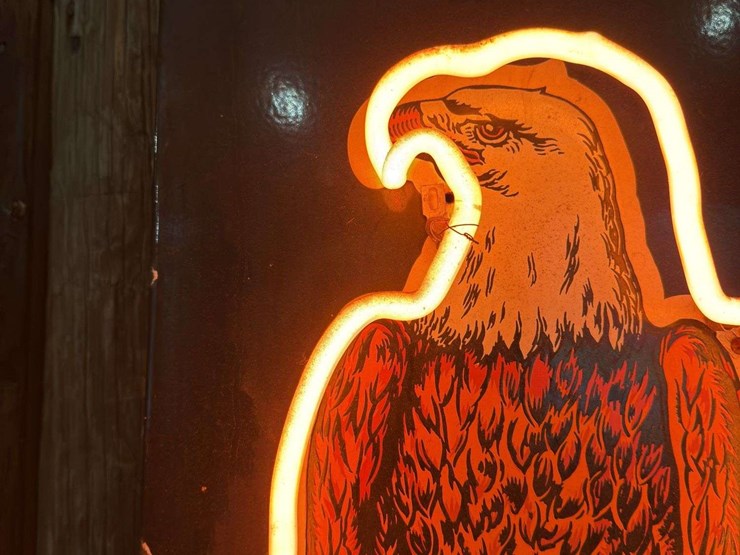 case-eagle-neon---description-update-image-5