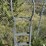 2-ladder-tree-stands-image-3