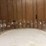 (14)-milk-bottles-image-1