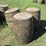 #29427-•-lot-of-(3)-whiskey-barrels-image-2