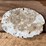 p-&-g-soaps-image-2