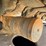 2022-caterpillar-303.5-image-14