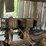 #104-•-tyrone-berry-carriage-drive-and-feed-image-41