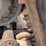 2023-bobcat-t66-image-10