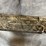 #4826-•-remington-versa-max-12-ga.-semi-auto-shotgun,-sn:-rt92459a-image-23