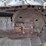 1999-caterpillar-d5c-xl-image-35