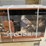 land-honor-lhr-epc40-plasma-cutter-image-1