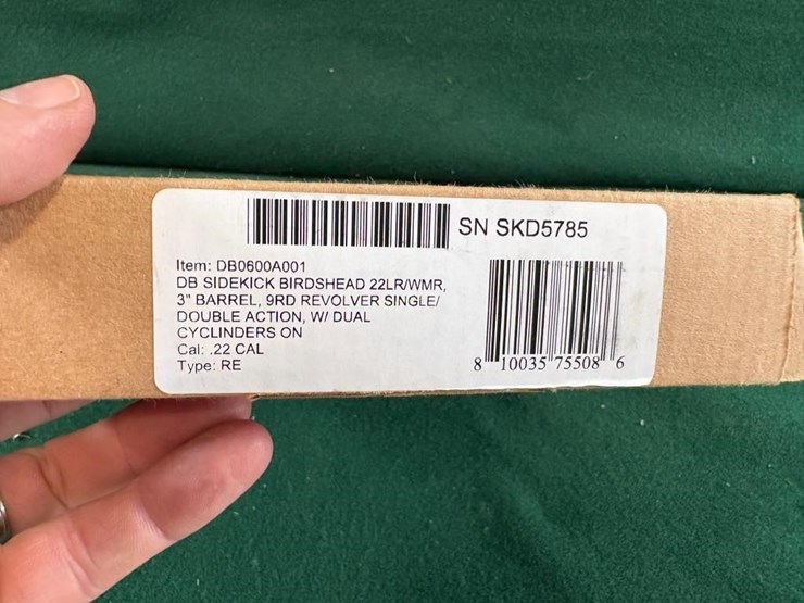 diamondback-sidekick-birdshead-22lr/wmr-image-12