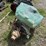 2-windsor-351-inboard-motors-w/transmissions-shafts-rutters-and-props-image-2