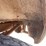 #506-•-1972-chevrolet-truck-(has-nm-title)-(located-in-elephant-butte)-image-45