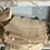 #150-•-parts-shelf-and-contents-image-29