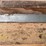 case-genuine-parts-image-4