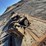 urs-shear-demolition-shear-image-3
