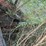#101-•-debarker-paddle-conveyor-image-4