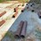 #123-•-lumber-rollers-image-6