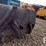 kubota-14.9---26-wheel-&-tire-image-3