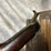 #4849-•-winchester-model-1890-22-s-pump-action-rifle,-sn:-17111-image-8