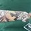 savage-axis-223rem-rifle-image-2